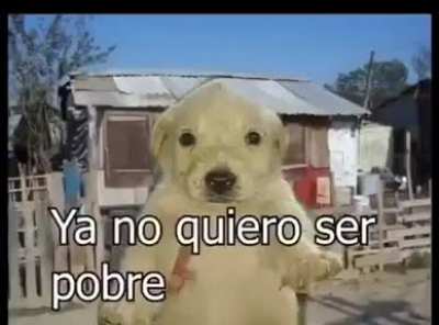 el pobre