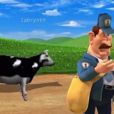 cow
