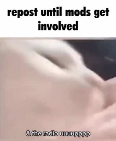 title got lost