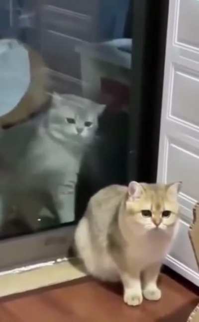 Soul trying to re-enter its body