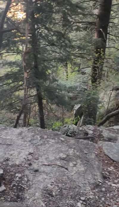 Hiking adventures ⛰️