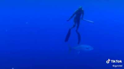 There&rsquo;s always a bigger fish