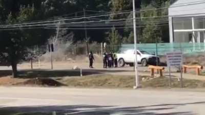 Bariloche - Llevan detenida a una persona por pasear un perro
