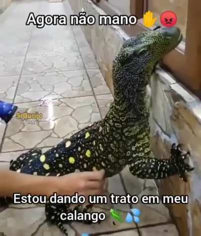 Agora n&atilde;o 🖐🏻😠
