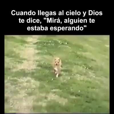 Lo v&iacute; y llor&eacute;, ahora vos tambi&eacute;n. Buen jueves.
