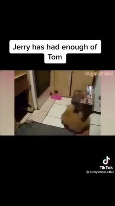 🐭🔪🐹