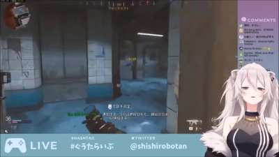 Apex predator goes "poi"