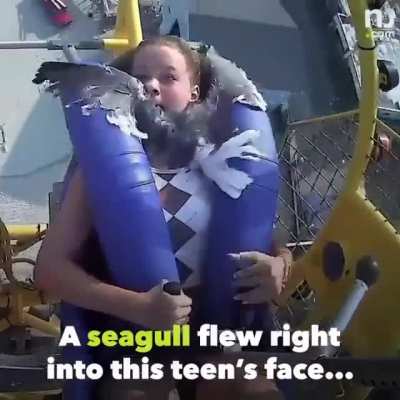 Seagull flies into girl's face on ride at Jersey Shore