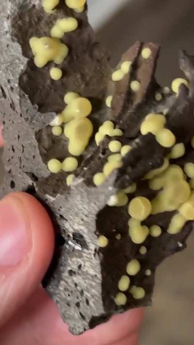 Botryoidal calcite, Spain