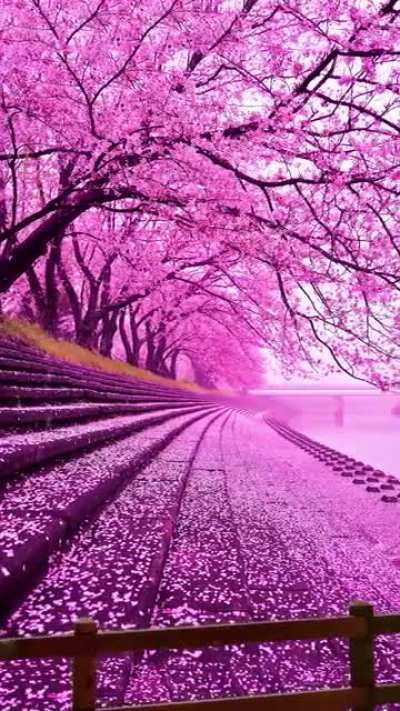 *Nature*
