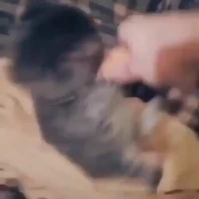 Illojuaner agarr&aacute;ndose a un pene