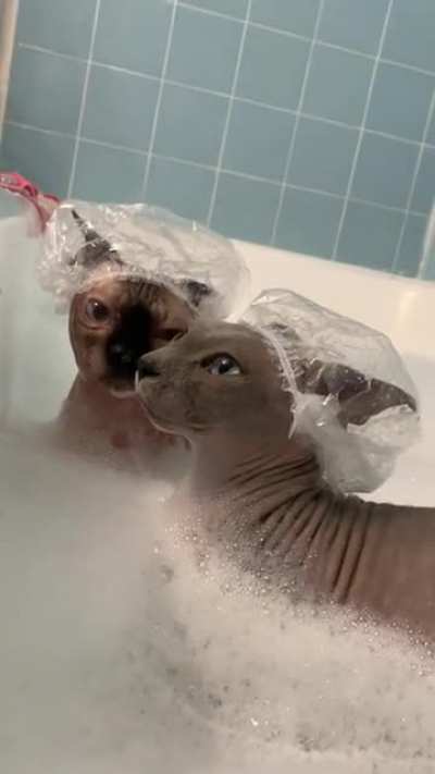 Having a normal one