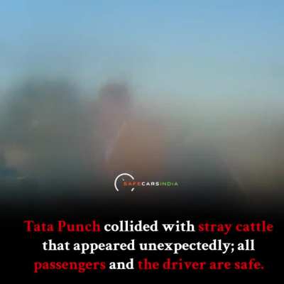 Stray Cattle that appears unexpectedly on Road collided with Tata Punch