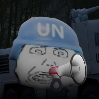 Blue Helmets get what they fucking deserve