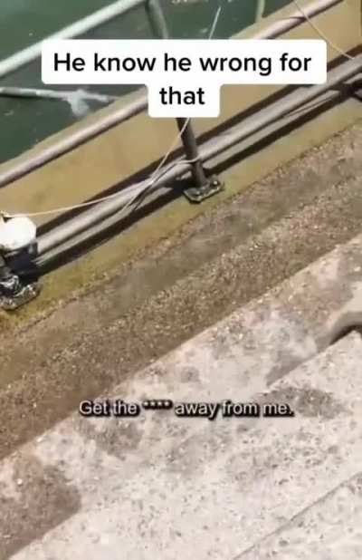 Guy pushes his girlfriend into a lake