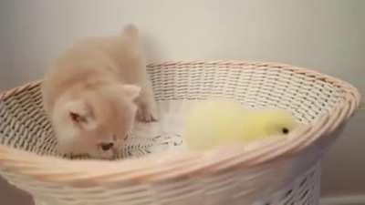 g&ouml;zlerimden😍kalpler❤💕💞fışkırıyo😍😻🐥🐥
