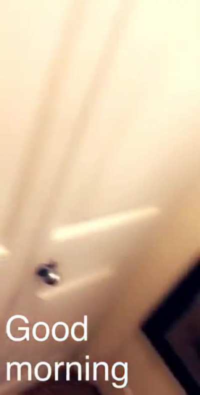 Twitter vid