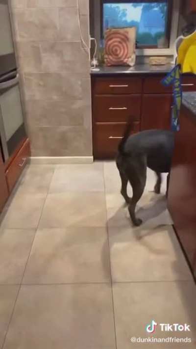 Watch till the end.