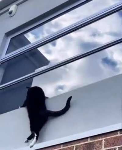 Special Ninja Detective on duty!