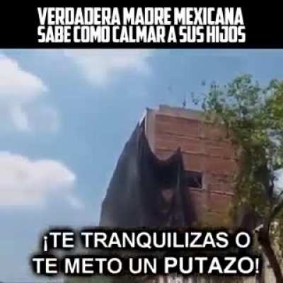 Educaci&oacute;n de calidad