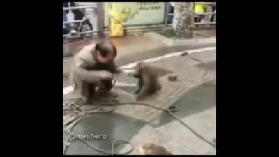 Money got revenge