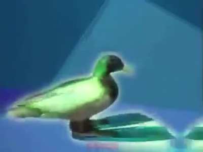 🦆