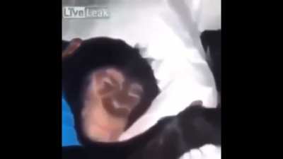 🤧😢