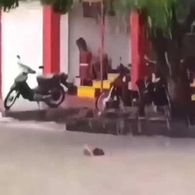 Just chilling