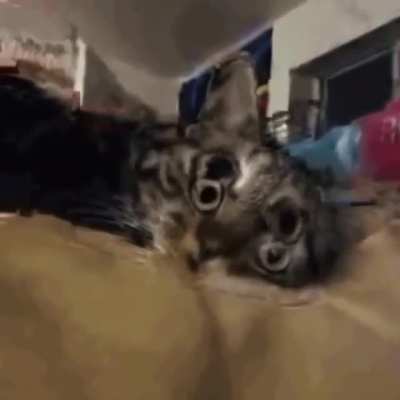 o.0