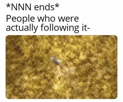 Invest
