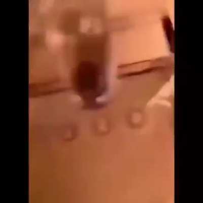 Jaja Valorant