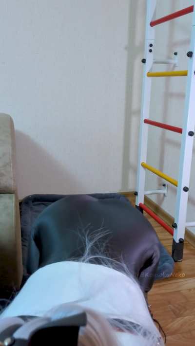 This silly pet doesn&rsquo;t understand that her master doesn&rsquo;t allow her to stand on her back legs