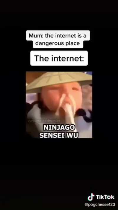 When the student becomes the master