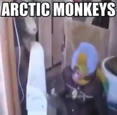 Arctic peruano 😳👌🏻😳