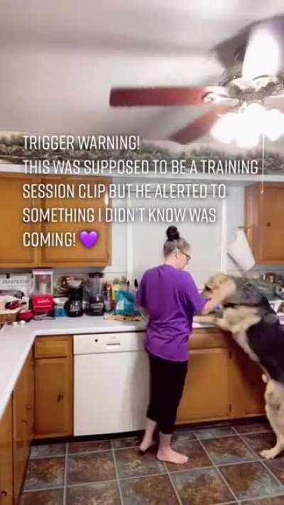 Dog smells epileptic seizure before the human experiences it.
