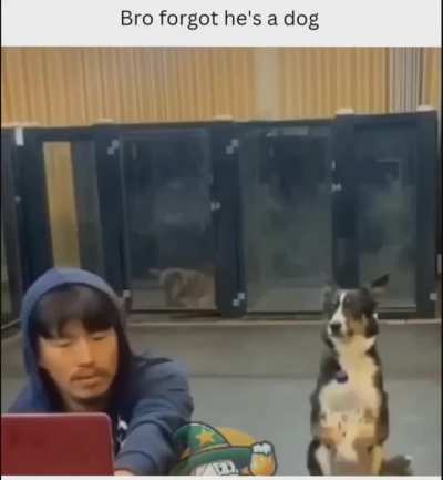 Who are you?