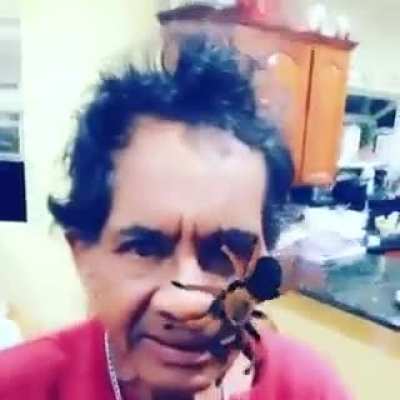 Tio Ignacio
