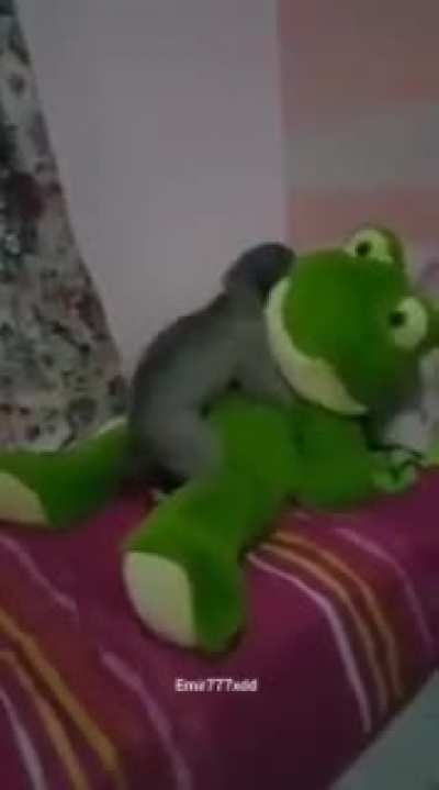 XD