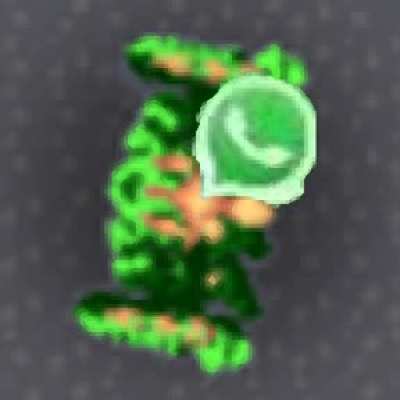 reignsapp