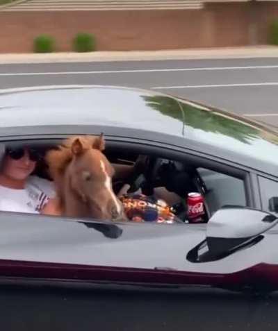 This Lambo&rsquo;s Got Some Serious Horsepower