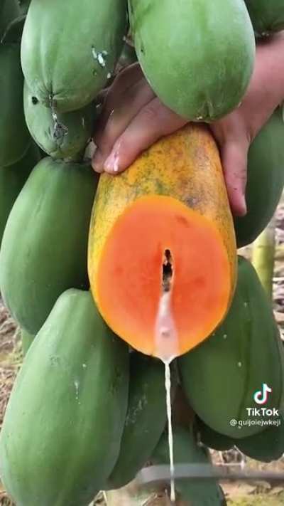 Seen on tiktok