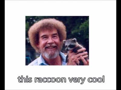 We kill the cringe raccoons.