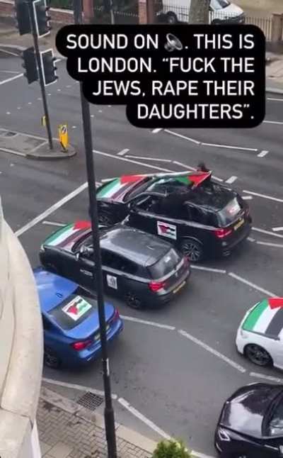 These protestors in London supporting Palestine has a different message