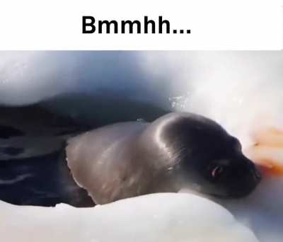 pluh wunkus