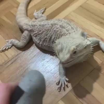 &ldquo;Don&rsquo;t eat me&rdquo;