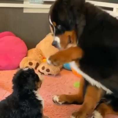 Gentle touch