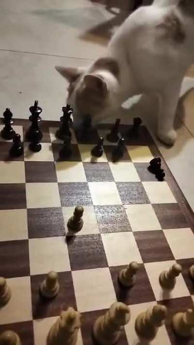 How is this move called?
