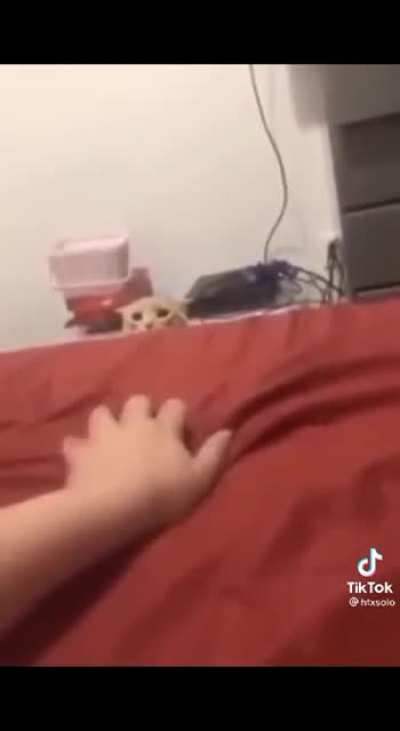 The best screams of the century