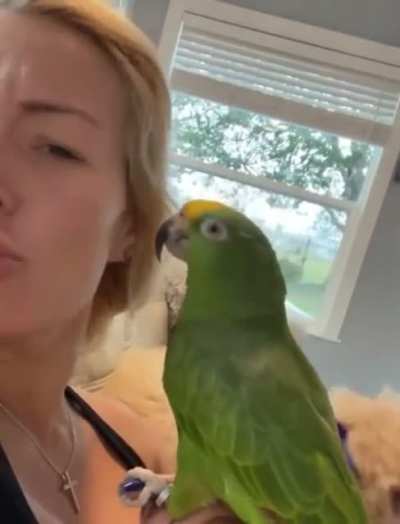 The bird was ok