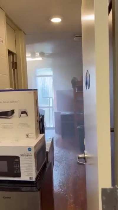 move in day is going smoothly